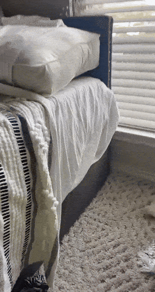 wfyokyga - Piesiulki