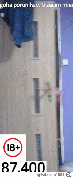 Fatalista1988 - STRIM ON 
GODNOŚĆ OFF

#danielmagical #patostreamy #raszei