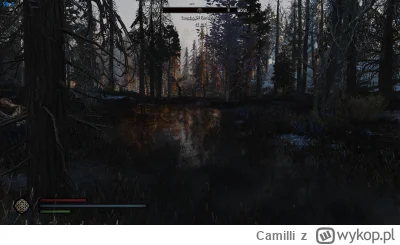 Camilli - Cała sobota wolna (⌐ ͡■ ͜ʖ ͡■)

#skyrim #skyrimnamodach #pcmasterrace