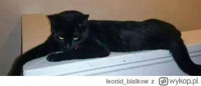 leonid_bialkow - @wfyokyga: ja toże