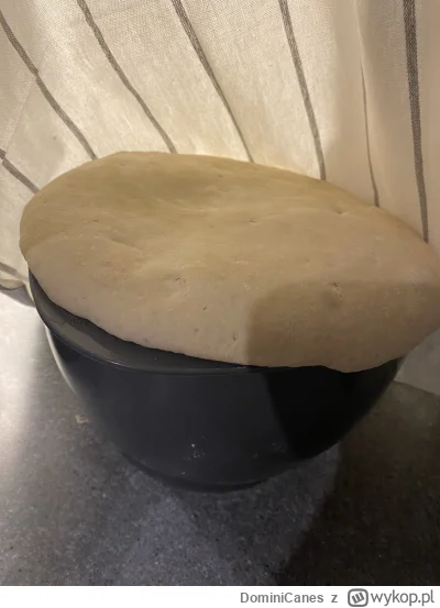 DominiCanes - Panie @JonaszSynGrazyny wyszło mi 1.9kg byka na chleb (y). Dużo zakwasu...