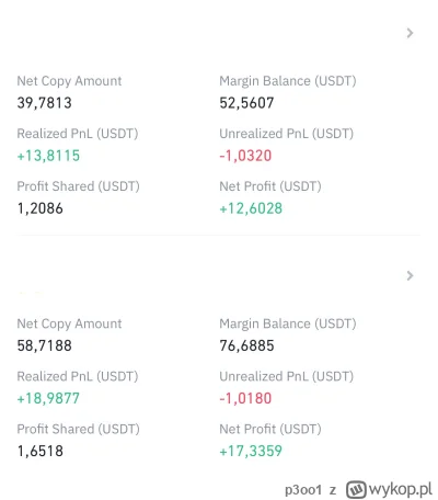 p3oo1 - Witam wszystkich!  
Podsumowanie kolejnego miesiąca z copy trading na Binance...