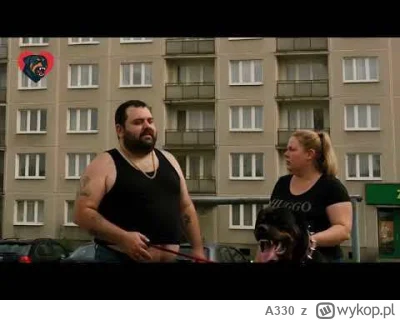 A330 - Tymczasem nasi wykopowi psiarze xD

#heheszki #psiarze