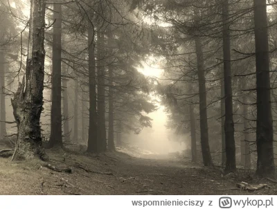 wspomnienieciszy - #gory 
2025.12.10.