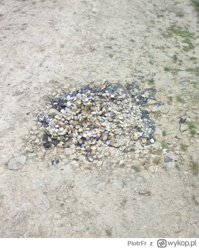 PiotrFr - Nad Atlantykiem dziury w drogach gruntownych lata się tak ( ͡° ͜ʖ ͡°)

#heh...