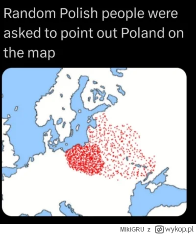 MikiGRU - #heheszki #polska