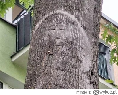 mmgo - @enten: mechanizm objawień jest zawsze ten sam, 
"buzię widzę w tym tęczu"