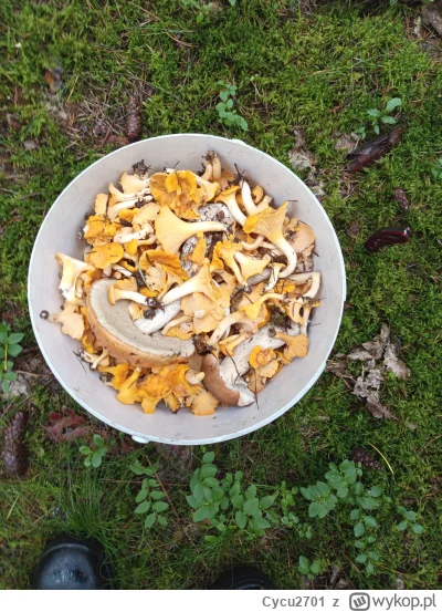 Cycu2701 - Warmińsko-mazurskie 
#grzyby #grzybobranie