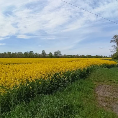 srgs - 108 999 + 8 + 27 + 32 + 39 = 109 105



#rowerowyrownik #rzepiara

Skrypt | St...