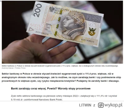 LITWIN - Znów będzie informacja (jak co roku), że banki tracą masę kasy i są pod kres...