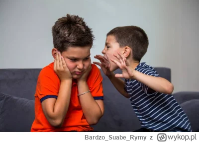 BardzoSuabeRymy - #wybory #bekazpisu #bekazprawakow

Wyznawca patoprawicy to taki iry...