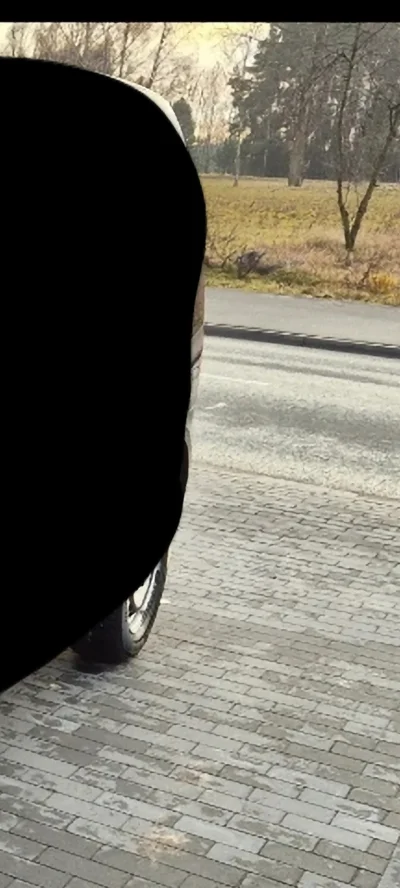 Paulus7911 - Na jednym ze zdjęć możemy zaobserwować jakieś pole lub właśnie pogorie p...