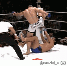 nadziej_c - #famemma 
Ciekawe czy zasadowiec gracjan roztocki dostanie dzisiaj takie ...