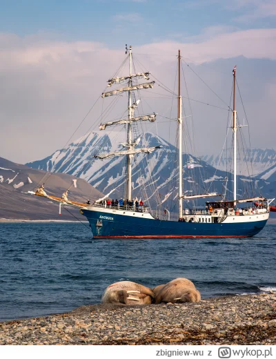 zbigniew-wu - Mireczki opuszczam jutro Svalbard i muszę przyznać że to niesamowite mi...