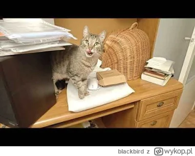 blackbird - @Multipurpose_Labels:  nie tyle chuda co wygolona, kasy starczy choc jest...