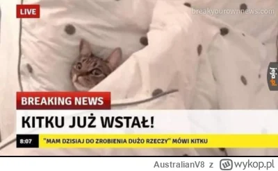 AustralianV8 - #kitku