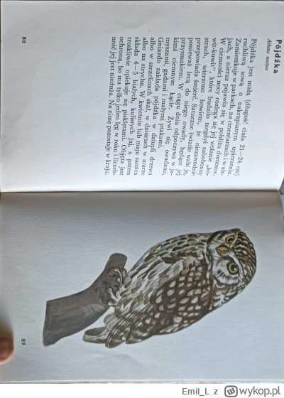 Emil_L - Moje dzieciaki dostały od dziadka starą książkę o ptakach, które możemy spot...