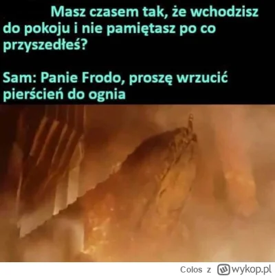 Colos - @Mega_Smieszek: niepotrzebnie jest podpisany frodo