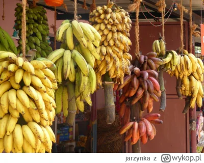 jarzynka - @rebelhorizon: banany w Europie są niesmaczne. Każdy kto był w Azji czy Am...