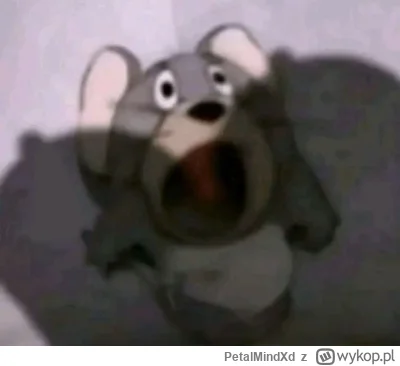 PetalMindXd - @mr_hardy: