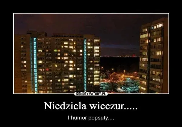 thority - #united w dupę
#realmadryt w dupę
#legia w dupę

Super dzień kibicowski ( ͡...