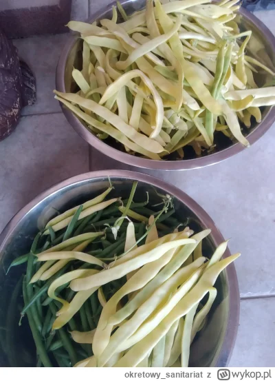 okretowysanitariat - @arinkao wygląda świetnie, ale fasolka po bretońsku w lipcu ¯\(ツ...