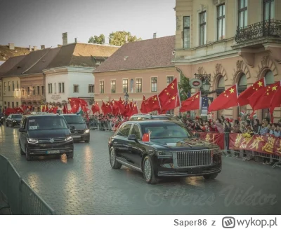 Saper86 - Miś Puchatek witany na Węgrzech przez swoich rodaków, którzy specjalnie po ...