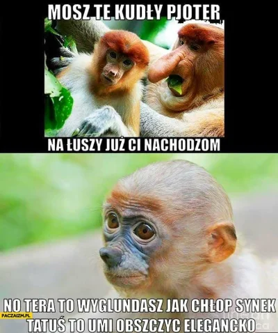 Brunczek - #przegryw #humorobrazkowy #heheszki