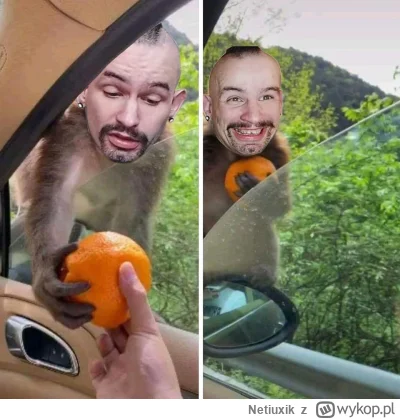 Netiuxik - wasz tajge soś dostał w parku śledzia ło baben #bonzo