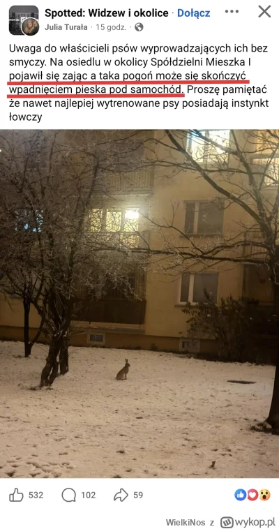 WielkiNos - Na jednym z osiedli w Łodzi pojawił się dziki zając, którego może zaatako...