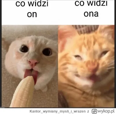 Kantorwymianymysliiwrazen - ( ͡° ͜ʖ ͡°)
#logikarozowychpaskow #logikaniebieskichpasko...