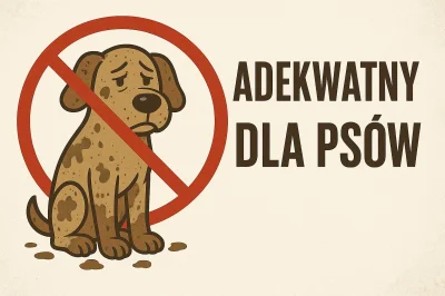 theOstry - #psiarze #podroze #motoryzacja #nieruchomosci #wakacje

Trzeba zacząć ozna...