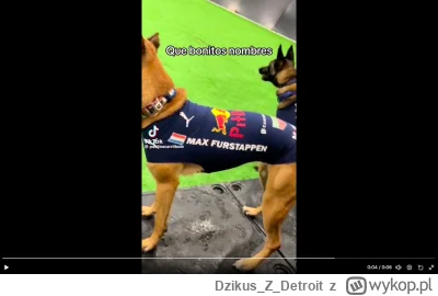 DzikusZDetroit - @JacoobCK:  był też&nbsp;Max Furstappen ( ͡° ͜ʖ ͡°)