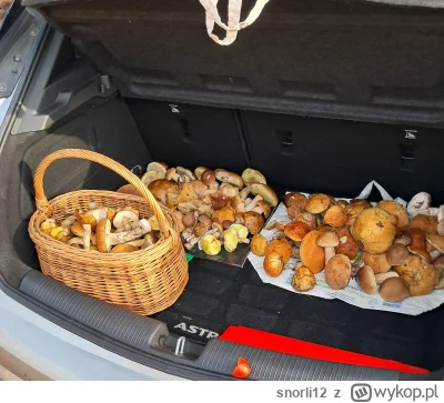snorli12 - #grzyby #grzybobranie #chwalesie #jedzzwykopem #gotujzwykopem #las