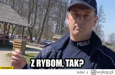 tellet - > ja Ci powiem: bo takie są przepisy. 

@mateusz-sznurowka: Z RYBOM, TAK?