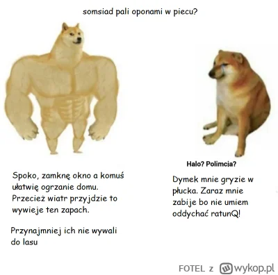 FOTEL - #konfitura #pdk .