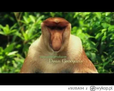 eSUBA94 - @jan-izaak-pochmann: