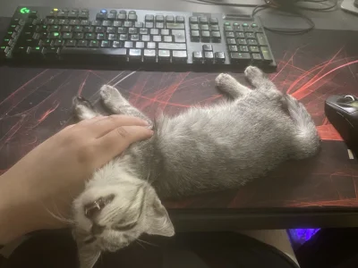 SunnO - Nela poszła w spanko i życzy kolorowych snów Mirabelkom i Mireczkom ( ͡º ͜ʖ͡º...