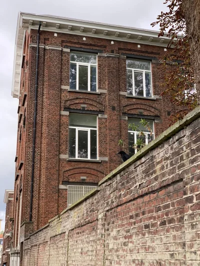 lvbie_placki - co za ptaszora spotkalem? to wrona czy kruk? xd
#ptaki #zwierzaczki