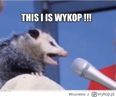 Wouowina - @iloneczka_195: