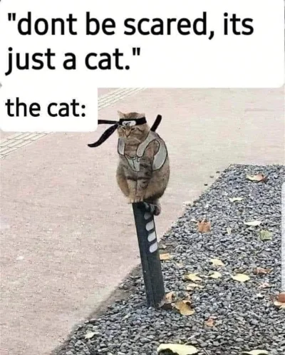 wybryk_natury - #zlodziejskiewybryki