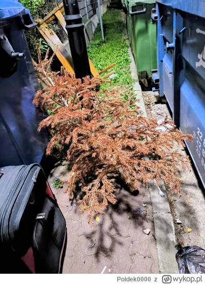 Poldek0000 - Jak mężczyzna obiecał coś zrobić to to zrobi i nie trzeba mu o tym co pó...