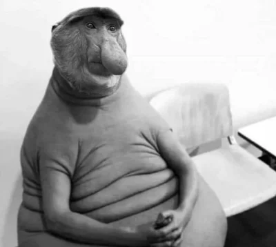 Neeveermind - Szkoda Wysp Owczych. 
#mecz