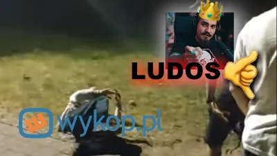 swa37 - @Amebka: dobrze napisała, a wy w strachu cały czas - LUDOS widzi, LUDOS wie, ...