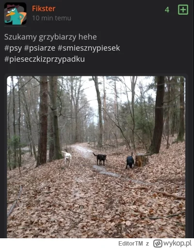 EditorTM - @yetanotheruser: "Hehe grzybiarz"