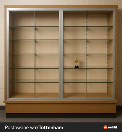 tytanowyy - #mecz #tottenham #ligaeuropy