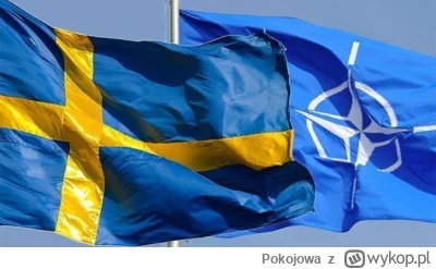 Pokojowa - Szwecja oficjalnie dołączyła do NATO

Protokół o przystąpieniu kraju do so...