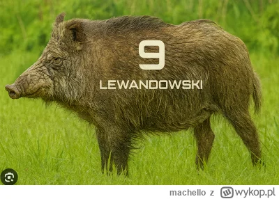 machello - @GreckiSamuraj: Teraz taki - stary.