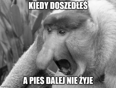 jan-izaak-pochmann - co poszło źle????
#konkursnanajbardziejgownianymemznosaczem