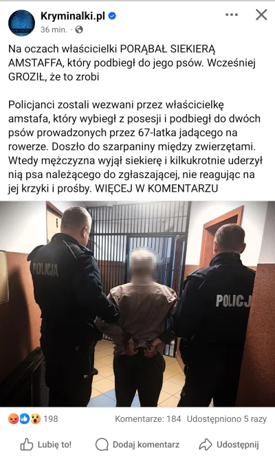 Okaz_prawilnosci - #psiarze #psy chory kraj